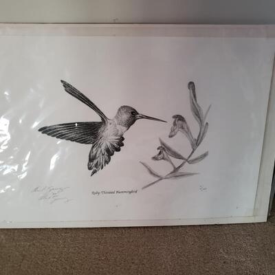 Wildlife Lithographs