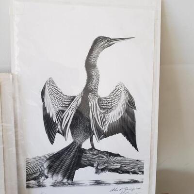 Wildlife Lithographs