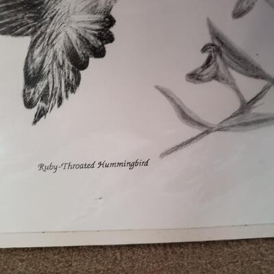 Wildlife Lithographs