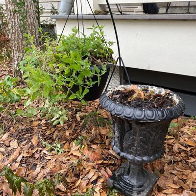 Black Planter and Hanging Yard Plant