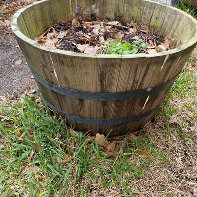 Two Herb Gardens in Large Barrel Planters
