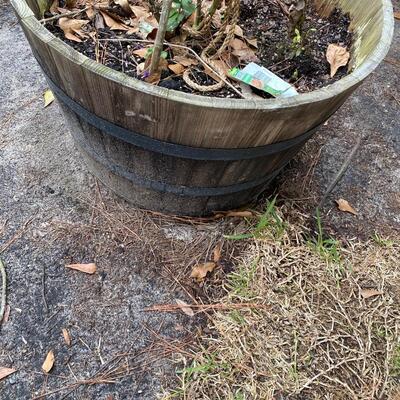 Two Herb Gardens in Large Barrel Planters