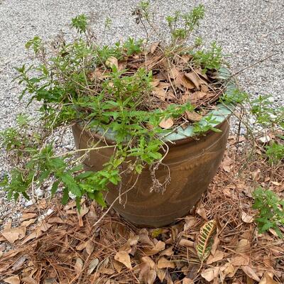 Large Ceramic Planter with Chinese Dragon Design