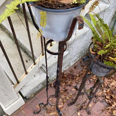 Pair of Wrought Iron Plant Stands with Ferns