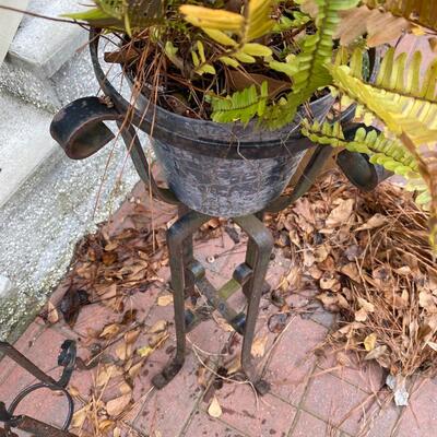 Pair of Wrought Iron Plant Stands with Ferns