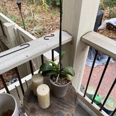 Plant Stand Tables with Plants and Watering Can