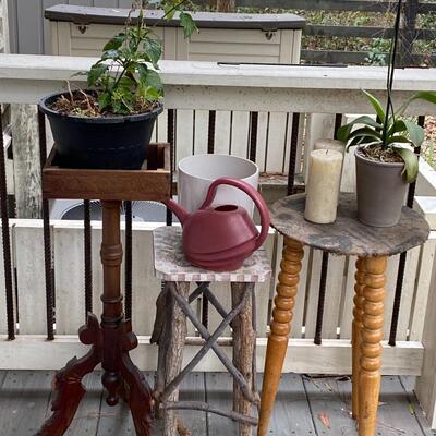 Plant Stand Tables with Plants and Watering Can