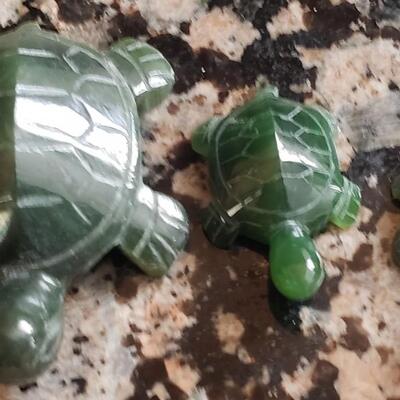 3 Small Turtle Lot