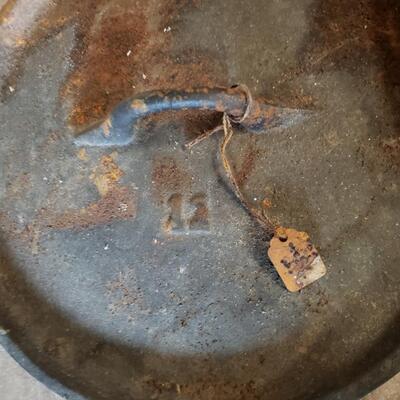 Cast Iron Variety