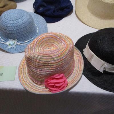 Various Hats