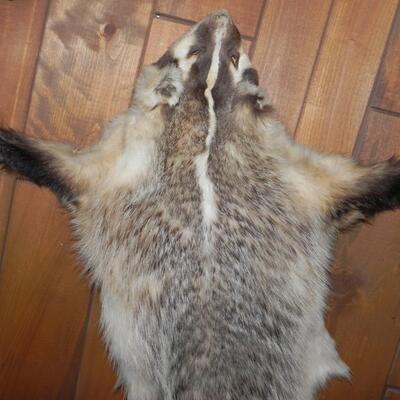 LOT 186  BADGER SKIN