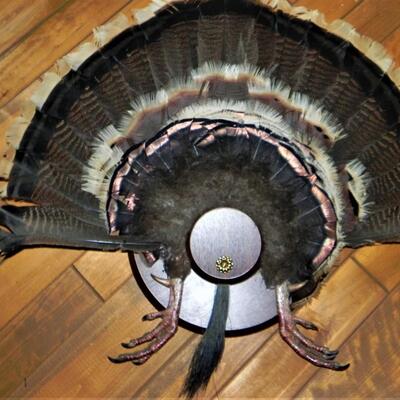 LOT 187  TURKY FEATHER WALL HANGING