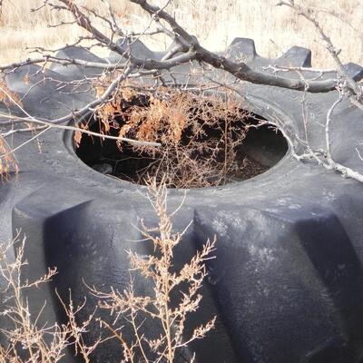 LARGE 188  LARGE TRACTOR TIRE