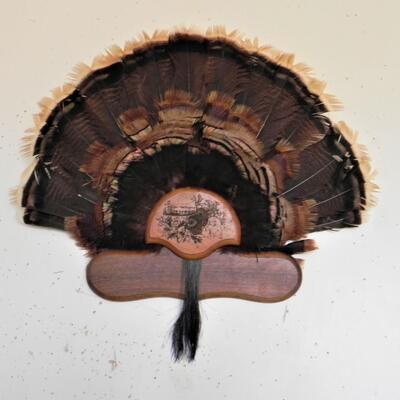 LOT 191  TURKEY FEATHER WALL HANGING