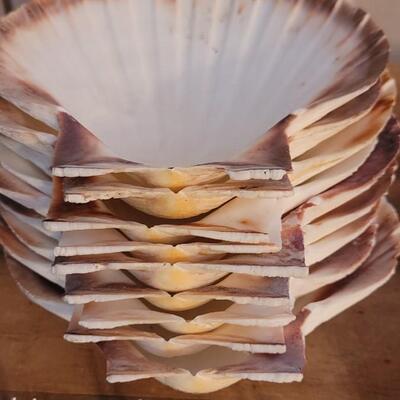 Lot 75: Shell Dishes and French Oyster Forks