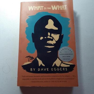 Book What  is the what by Dave Eggers