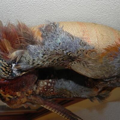 LOT 215  TURKEY FEATHER WREATH