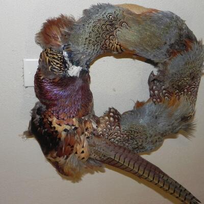LOT 215  TURKEY FEATHER WREATH