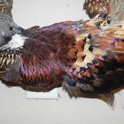 LOT 215  TURKEY FEATHER WREATH