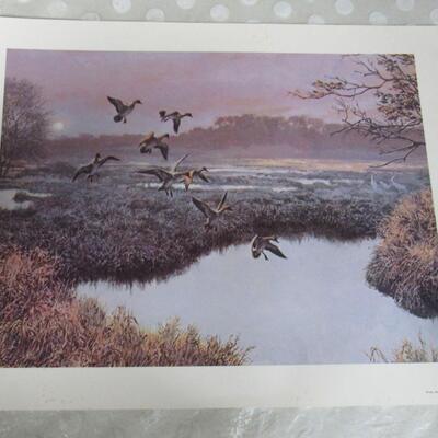 Duck Print, Remington Wildlife Art Collection, USA