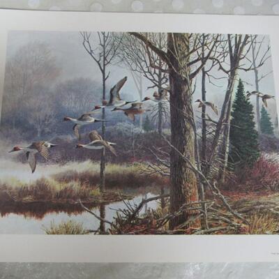 Remington Wildlife Collection, USA, Ducks Print