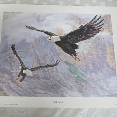 Bald Eagle Litho, Remington Arms Co, 1975, USA