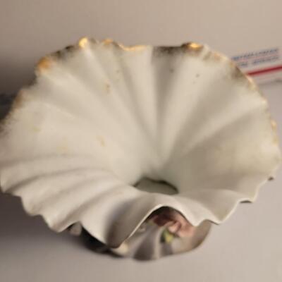 Bisque Shell