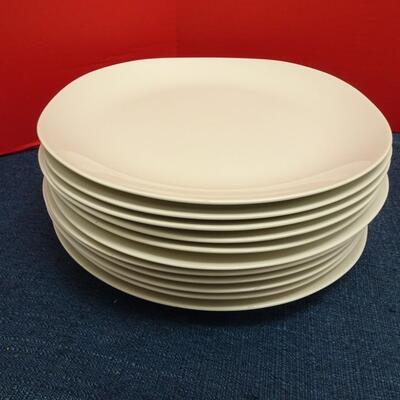 LOT 509  11 WHITE AND 11 CLEAR PLATES