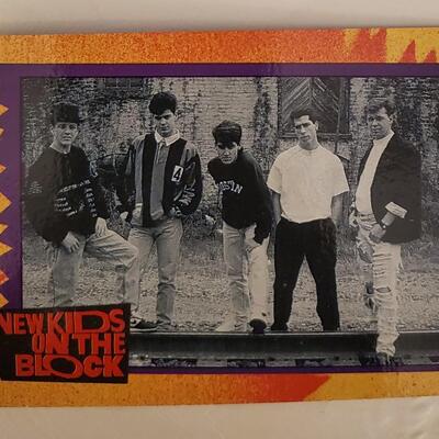 Vintage New Kids on the Block Trading Card