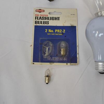 Electronics Lot: 12 Lightbulbs, 2 Flashlight Bulbs, Gray Tote, Radio