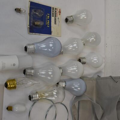 Electronics Lot: 12 Lightbulbs, 2 Flashlight Bulbs, Gray Tote, Radio