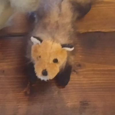 Steiff Bear and Small Fox
