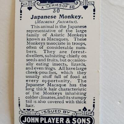 Old Japanese Monkey Tobacco Cigarette Card