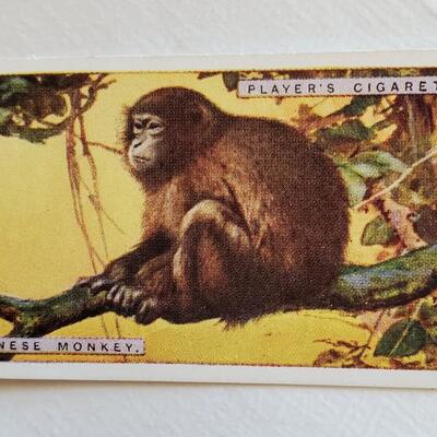 Old Japanese Monkey Tobacco Cigarette Card