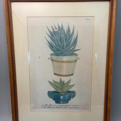 Antique Plate circa 1800s