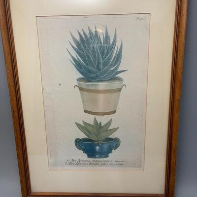 Antique Plate circa 1800s