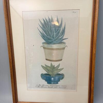 Antique Plate circa 1800s