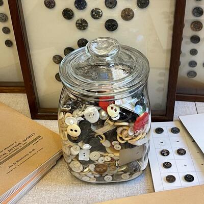 Lot 9 Antique Button Collection 6 Framed 11 Unframed Books & Unsorted