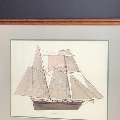 C - 7482 Framed Print â€œ The ALLIGATOR â€œ, Schooner 1821-1823