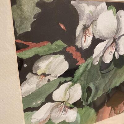 Original Watercolor of White Flowers