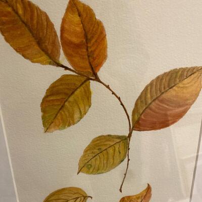Original Watercolor of Amber Colored Leaves