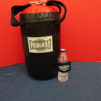 LOT 555. SMALL PROLAST PUNCHING BAG