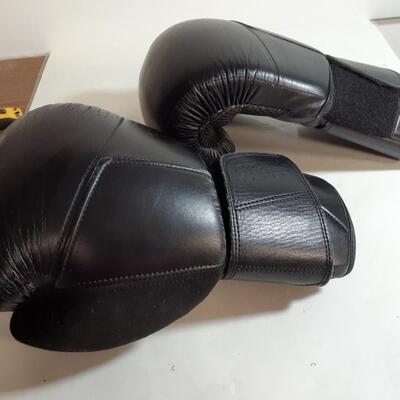 Legends 16oz Boxing gloves