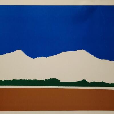Lot 20: Vintage COLORADO-it's not too late ENVIRONMENTAL AWARENESS Graphic Design Poster