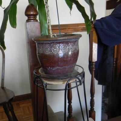 LOT 72  LIVE PLANT WITH METAL STAND