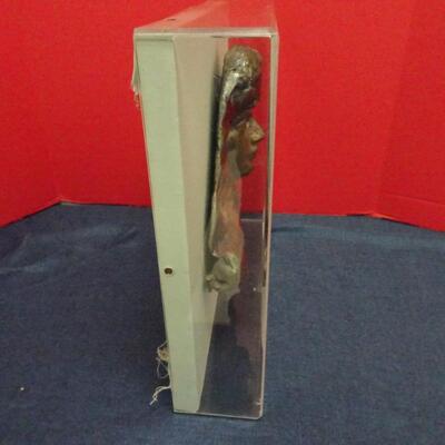 LOT 609.   3 DIMENSIONAL  WALL SCULPTURE IN CASE