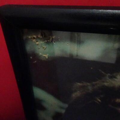 LOT 612. VINTAGE FRAMED LOBBY CARDS