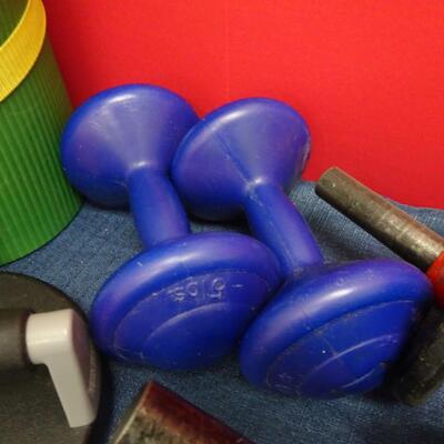 LOT 593. WEIGHTS AND EXERCISE GEAR