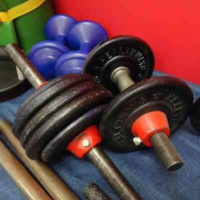 LOT 593. WEIGHTS AND EXERCISE GEAR