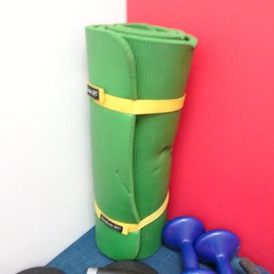 LOT 593. WEIGHTS AND EXERCISE GEAR